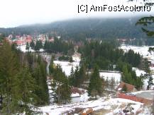 [P10] Frumusetea din Poiana, nu se uita pan' la vara :) » foto by dananecula*
 - 
<span class="allrVoted glyphicon glyphicon-heart hidden" id="av61494"></span>
<a class="m-l-10 hidden" id="sv61494" onclick="voting_Foto_DelVot(,61494,4961)" role="button">șterge vot <span class="glyphicon glyphicon-remove"></span></a>
<a id="v961494" class=" c-red"  onclick="voting_Foto_SetVot(61494)" role="button"><span class="glyphicon glyphicon-heart-empty"></span> <b>LIKE</b> = Votează poza</a> <img class="hidden"  id="f61494W9" src="/imagini/loader.gif" border="0" /><span class="AjErrMes hidden" id="e61494ErM"></span>