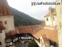 [P04]  -- <small>// FĂRĂ DESCRIERE</small> » foto by roxana.tomina
 - 
<span class="allrVoted glyphicon glyphicon-heart hidden" id="av322037"></span>
<a class="m-l-10 hidden" id="sv322037" onclick="voting_Foto_DelVot(,322037,4963)" role="button">șterge vot <span class="glyphicon glyphicon-remove"></span></a>
<a id="v9322037" class=" c-red"  onclick="voting_Foto_SetVot(322037)" role="button"><span class="glyphicon glyphicon-heart-empty"></span> <b>LIKE</b> = Votează poza</a> <img class="hidden"  id="f322037W9" src="/imagini/loader.gif" border="0" /><span class="AjErrMes hidden" id="e322037ErM"></span>