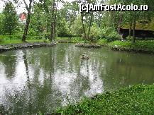 [P12] Lacul din curtea castelului » foto by FlaviuBuboi
 - 
<span class="allrVoted glyphicon glyphicon-heart hidden" id="av485244"></span>
<a class="m-l-10 hidden" id="sv485244" onclick="voting_Foto_DelVot(,485244,4963)" role="button">șterge vot <span class="glyphicon glyphicon-remove"></span></a>
<a id="v9485244" class=" c-red"  onclick="voting_Foto_SetVot(485244)" role="button"><span class="glyphicon glyphicon-heart-empty"></span> <b>LIKE</b> = Votează poza</a> <img class="hidden"  id="f485244W9" src="/imagini/loader.gif" border="0" /><span class="AjErrMes hidden" id="e485244ErM"></span>