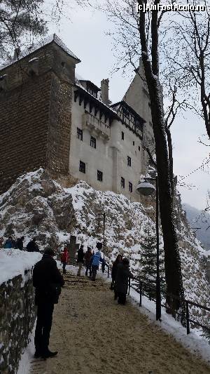 [P01] Castelul Bran vazut de pe ulita de acces » foto by gaby905
 - 
<span class="allrVoted glyphicon glyphicon-heart hidden" id="av588841"></span>
<a class="m-l-10 hidden" id="sv588841" onclick="voting_Foto_DelVot(,588841,4963)" role="button">șterge vot <span class="glyphicon glyphicon-remove"></span></a>
<a id="v9588841" class=" c-red"  onclick="voting_Foto_SetVot(588841)" role="button"><span class="glyphicon glyphicon-heart-empty"></span> <b>LIKE</b> = Votează poza</a> <img class="hidden"  id="f588841W9" src="/imagini/loader.gif" border="0" /><span class="AjErrMes hidden" id="e588841ErM"></span>