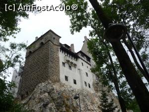 [P01]  -- <small>// FĂRĂ DESCRIERE</small> » foto by mariusii
 - 
<span class="allrVoted glyphicon glyphicon-heart hidden" id="av774215"></span>
<a class="m-l-10 hidden" id="sv774215" onclick="voting_Foto_DelVot(,774215,4963)" role="button">șterge vot <span class="glyphicon glyphicon-remove"></span></a>
<a id="v9774215" class=" c-red"  onclick="voting_Foto_SetVot(774215)" role="button"><span class="glyphicon glyphicon-heart-empty"></span> <b>LIKE</b> = Votează poza</a> <img class="hidden"  id="f774215W9" src="/imagini/loader.gif" border="0" /><span class="AjErrMes hidden" id="e774215ErM"></span>