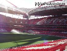 [P40] Pe stadionul Da Luz:) » foto by TLA
 - 
<span class="allrVoted glyphicon glyphicon-heart hidden" id="av51333"></span>
<a class="m-l-10 hidden" id="sv51333" onclick="voting_Foto_DelVot(,51333,4995)" role="button">șterge vot <span class="glyphicon glyphicon-remove"></span></a>
<a id="v951333" class=" c-red"  onclick="voting_Foto_SetVot(51333)" role="button"><span class="glyphicon glyphicon-heart-empty"></span> <b>LIKE</b> = Votează poza</a> <img class="hidden"  id="f51333W9" src="/imagini/loader.gif" border="0" /><span class="AjErrMes hidden" id="e51333ErM"></span>