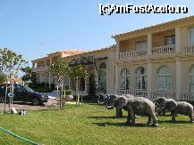 [P01] Mabely Grand Hotel, cel mai bun hotel din Zakynthos. » foto by motaneata
 - 
<span class="allrVoted glyphicon glyphicon-heart hidden" id="av52491"></span>
<a class="m-l-10 hidden" id="sv52491" onclick="voting_Foto_DelVot(,52491,5031)" role="button">șterge vot <span class="glyphicon glyphicon-remove"></span></a>
<a id="v952491" class=" c-red"  onclick="voting_Foto_SetVot(52491)" role="button"><span class="glyphicon glyphicon-heart-empty"></span> <b>LIKE</b> = Votează poza</a> <img class="hidden"  id="f52491W9" src="/imagini/loader.gif" border="0" /><span class="AjErrMes hidden" id="e52491ErM"></span>