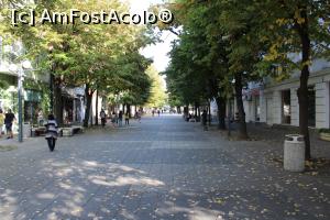 [P06] Burgas, Strada pietonală Aleksandrovska, capătul ei de vizavi de Parcul Tsaritsa Yoana, cu frumoșii arbori ce o străjuiesc » foto by mprofeanu
 - 
<span class="allrVoted glyphicon glyphicon-heart hidden" id="av1204447"></span>
<a class="m-l-10 hidden" id="sv1204447" onclick="voting_Foto_DelVot(,1204447,5049)" role="button">șterge vot <span class="glyphicon glyphicon-remove"></span></a>
<a id="v91204447" class=" c-red"  onclick="voting_Foto_SetVot(1204447)" role="button"><span class="glyphicon glyphicon-heart-empty"></span> <b>LIKE</b> = Votează poza</a> <img class="hidden"  id="f1204447W9" src="/imagini/loader.gif" border="0" /><span class="AjErrMes hidden" id="e1204447ErM"></span>