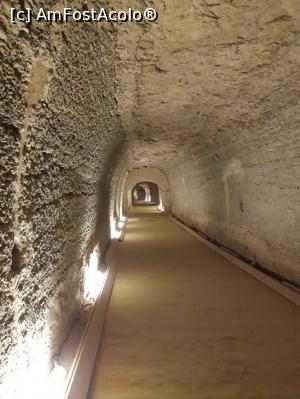 [P28] Galerie la Serapeum » foto by Enki
 - 
<span class="allrVoted glyphicon glyphicon-heart hidden" id="av1208324"></span>
<a class="m-l-10 hidden" id="sv1208324" onclick="voting_Foto_DelVot(,1208324,5067)" role="button">șterge vot <span class="glyphicon glyphicon-remove"></span></a>
<a id="v91208324" class=" c-red"  onclick="voting_Foto_SetVot(1208324)" role="button"><span class="glyphicon glyphicon-heart-empty"></span> <b>LIKE</b> = Votează poza</a> <img class="hidden"  id="f1208324W9" src="/imagini/loader.gif" border="0" /><span class="AjErrMes hidden" id="e1208324ErM"></span>