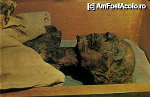 [P22] Mumia lui Ramses II din Sala Mumiilor Regale, poza nu imi apartine » foto by Muffin2009*
 - 
<span class="allrVoted glyphicon glyphicon-heart hidden" id="av486364"></span>
<a class="m-l-10 hidden" id="sv486364" onclick="voting_Foto_DelVot(,486364,5067)" role="button">șterge vot <span class="glyphicon glyphicon-remove"></span></a>
<a id="v9486364" class=" c-red"  onclick="voting_Foto_SetVot(486364)" role="button"><span class="glyphicon glyphicon-heart-empty"></span> <b>LIKE</b> = Votează poza</a> <img class="hidden"  id="f486364W9" src="/imagini/loader.gif" border="0" /><span class="AjErrMes hidden" id="e486364ErM"></span>