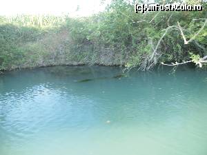[P31] Cu barca pe Acheron river- » foto by luciaoradea
 - 
<span class="allrVoted glyphicon glyphicon-heart hidden" id="av590909"></span>
<a class="m-l-10 hidden" id="sv590909" onclick="voting_Foto_DelVot(,590909,5075)" role="button">șterge vot <span class="glyphicon glyphicon-remove"></span></a>
<a id="v9590909" class=" c-red"  onclick="voting_Foto_SetVot(590909)" role="button"><span class="glyphicon glyphicon-heart-empty"></span> <b>LIKE</b> = Votează poza</a> <img class="hidden"  id="f590909W9" src="/imagini/loader.gif" border="0" /><span class="AjErrMes hidden" id="e590909ErM"></span>
