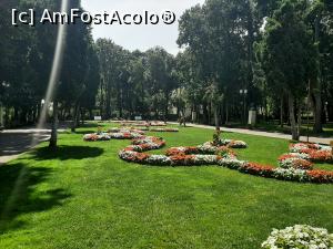 [P04] Parcul Copou, Aleea centrală » foto by adso
 - 
<span class="allrVoted glyphicon glyphicon-heart hidden" id="av1375502"></span>
<a class="m-l-10 hidden" id="sv1375502" onclick="voting_Foto_DelVot(,1375502,5091)" role="button">șterge vot <span class="glyphicon glyphicon-remove"></span></a>
<a id="v91375502" class=" c-red"  onclick="voting_Foto_SetVot(1375502)" role="button"><span class="glyphicon glyphicon-heart-empty"></span> <b>LIKE</b> = Votează poza</a> <img class="hidden"  id="f1375502W9" src="/imagini/loader.gif" border="0" /><span class="AjErrMes hidden" id="e1375502ErM"></span>