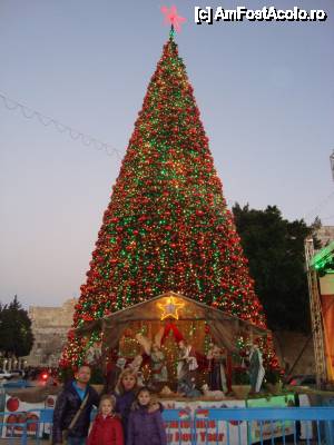 [P09] Bradul din Bethlehem » foto by LACITURISTUL
 - 
<span class="allrVoted glyphicon glyphicon-heart hidden" id="av489819"></span>
<a class="m-l-10 hidden" id="sv489819" onclick="voting_Foto_DelVot(,489819,5104)" role="button">șterge vot <span class="glyphicon glyphicon-remove"></span></a>
<a id="v9489819" class=" c-red"  onclick="voting_Foto_SetVot(489819)" role="button"><span class="glyphicon glyphicon-heart-empty"></span> <b>LIKE</b> = Votează poza</a> <img class="hidden"  id="f489819W9" src="/imagini/loader.gif" border="0" /><span class="AjErrMes hidden" id="e489819ErM"></span>