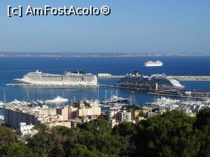 [P62] Palma de Mallorca - MSC Fantasia așteptând să ne întoarcem la răsfăț.  » foto by Cris
 - 
<span class="allrVoted glyphicon glyphicon-heart hidden" id="av745357"></span>
<a class="m-l-10 hidden" id="sv745357" onclick="voting_Foto_DelVot(,745357,5104)" role="button">șterge vot <span class="glyphicon glyphicon-remove"></span></a>
<a id="v9745357" class=" c-red"  onclick="voting_Foto_SetVot(745357)" role="button"><span class="glyphicon glyphicon-heart-empty"></span> <b>LIKE</b> = Votează poza</a> <img class="hidden"  id="f745357W9" src="/imagini/loader.gif" border="0" /><span class="AjErrMes hidden" id="e745357ErM"></span>