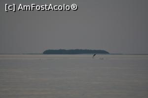 [P95] ziua 8, așteptând răsăritul, în depărtare delfinii ne-au dat o reprezentație de rămas bun » foto by barbu minel
 - 
<span class="allrVoted glyphicon glyphicon-heart hidden" id="av1366507"></span>
<a class="m-l-10 hidden" id="sv1366507" onclick="voting_Foto_DelVot(,1366507,5106)" role="button">șterge vot <span class="glyphicon glyphicon-remove"></span></a>
<a id="v91366507" class=" c-red"  onclick="voting_Foto_SetVot(1366507)" role="button"><span class="glyphicon glyphicon-heart-empty"></span> <b>LIKE</b> = Votează poza</a> <img class="hidden"  id="f1366507W9" src="/imagini/loader.gif" border="0" /><span class="AjErrMes hidden" id="e1366507ErM"></span>