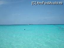 [P11] in apa la snorkeling si la prima mea intalnire cu broastele testoase de apa » foto by Pami*
 - 
<span class="allrVoted glyphicon glyphicon-heart hidden" id="av86417"></span>
<a class="m-l-10 hidden" id="sv86417" onclick="voting_Foto_DelVot(,86417,5106)" role="button">șterge vot <span class="glyphicon glyphicon-remove"></span></a>
<a id="v986417" class=" c-red"  onclick="voting_Foto_SetVot(86417)" role="button"><span class="glyphicon glyphicon-heart-empty"></span> <b>LIKE</b> = Votează poza</a> <img class="hidden"  id="f86417W9" src="/imagini/loader.gif" border="0" /><span class="AjErrMes hidden" id="e86417ErM"></span>