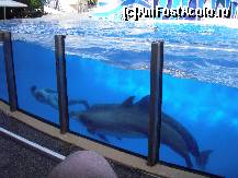 [P11] Antrenorul, impreuna cu cei doi elevi » foto by Arinuca
 - 
<span class="allrVoted glyphicon glyphicon-heart hidden" id="av55064"></span>
<a class="m-l-10 hidden" id="sv55064" onclick="voting_Foto_DelVot(,55064,5113)" role="button">șterge vot <span class="glyphicon glyphicon-remove"></span></a>
<a id="v955064" class=" c-red"  onclick="voting_Foto_SetVot(55064)" role="button"><span class="glyphicon glyphicon-heart-empty"></span> <b>LIKE</b> = Votează poza</a> <img class="hidden"  id="f55064W9" src="/imagini/loader.gif" border="0" /><span class="AjErrMes hidden" id="e55064ErM"></span>