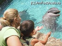 [P05] Ora de masa! Simpaticul delfin a venit sa primeasca de mincare de la vizitatori » foto by Arinuca
 - 
<span class="allrVoted glyphicon glyphicon-heart hidden" id="av54939"></span>
<a class="m-l-10 hidden" id="sv54939" onclick="voting_Foto_DelVot(,54939,5113)" role="button">șterge vot <span class="glyphicon glyphicon-remove"></span></a>
<a id="v954939" class=" c-red"  onclick="voting_Foto_SetVot(54939)" role="button"><span class="glyphicon glyphicon-heart-empty"></span> <b>LIKE</b> = Votează poza</a> <img class="hidden"  id="f54939W9" src="/imagini/loader.gif" border="0" /><span class="AjErrMes hidden" id="e54939ErM"></span>