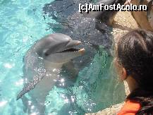 [P07] Veselie mare, nu-i asa? » foto by Arinuca
 - 
<span class="allrVoted glyphicon glyphicon-heart hidden" id="av55060"></span>
<a class="m-l-10 hidden" id="sv55060" onclick="voting_Foto_DelVot(,55060,5113)" role="button">șterge vot <span class="glyphicon glyphicon-remove"></span></a>
<a id="v955060" class=" c-red"  onclick="voting_Foto_SetVot(55060)" role="button"><span class="glyphicon glyphicon-heart-empty"></span> <b>LIKE</b> = Votează poza</a> <img class="hidden"  id="f55060W9" src="/imagini/loader.gif" border="0" /><span class="AjErrMes hidden" id="e55060ErM"></span>