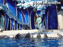 [P09] Spectacolul cu delfini-prezentarea participantilor » foto by Arinuca
 - 
<span class="allrVoted glyphicon glyphicon-heart hidden" id="av55062"></span>
<a class="m-l-10 hidden" id="sv55062" onclick="voting_Foto_DelVot(,55062,5113)" role="button">șterge vot <span class="glyphicon glyphicon-remove"></span></a>
<a id="v955062" class=" c-red"  onclick="voting_Foto_SetVot(55062)" role="button"><span class="glyphicon glyphicon-heart-empty"></span> <b>LIKE</b> = Votează poza</a> <img class="hidden"  id="f55062W9" src="/imagini/loader.gif" border="0" /><span class="AjErrMes hidden" id="e55062ErM"></span>