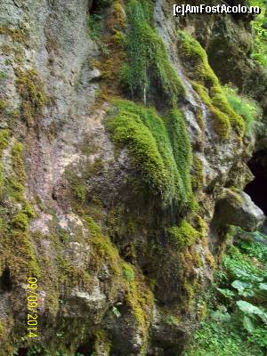 [P06] Cascada.  » foto by DanTal74
 - 
<span class="allrVoted glyphicon glyphicon-heart hidden" id="av555822"></span>
<a class="m-l-10 hidden" id="sv555822" onclick="voting_Foto_DelVot(,555822,5116)" role="button">șterge vot <span class="glyphicon glyphicon-remove"></span></a>
<a id="v9555822" class=" c-red"  onclick="voting_Foto_SetVot(555822)" role="button"><span class="glyphicon glyphicon-heart-empty"></span> <b>LIKE</b> = Votează poza</a> <img class="hidden"  id="f555822W9" src="/imagini/loader.gif" border="0" /><span class="AjErrMes hidden" id="e555822ErM"></span>
