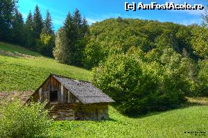 [P01] Moieciu- Valea cu Calea » foto by didona_stelea
 - 
<span class="allrVoted glyphicon glyphicon-heart hidden" id="av560582"></span>
<a class="m-l-10 hidden" id="sv560582" onclick="voting_Foto_DelVot(,560582,5116)" role="button">șterge vot <span class="glyphicon glyphicon-remove"></span></a>
<a id="v9560582" class=" c-red"  onclick="voting_Foto_SetVot(560582)" role="button"><span class="glyphicon glyphicon-heart-empty"></span> <b>LIKE</b> = Votează poza</a> <img class="hidden"  id="f560582W9" src="/imagini/loader.gif" border="0" /><span class="AjErrMes hidden" id="e560582ErM"></span>