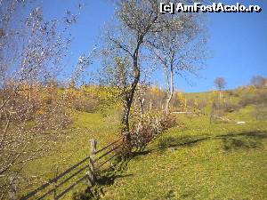[P18] Moieciu, drumul spre Valea cu calea » foto by didona_stelea
 - 
<span class="allrVoted glyphicon glyphicon-heart hidden" id="av561383"></span>
<a class="m-l-10 hidden" id="sv561383" onclick="voting_Foto_DelVot(,561383,5116)" role="button">șterge vot <span class="glyphicon glyphicon-remove"></span></a>
<a id="v9561383" class=" c-red"  onclick="voting_Foto_SetVot(561383)" role="button"><span class="glyphicon glyphicon-heart-empty"></span> <b>LIKE</b> = Votează poza</a> <img class="hidden"  id="f561383W9" src="/imagini/loader.gif" border="0" /><span class="AjErrMes hidden" id="e561383ErM"></span>