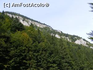 [P25] Muntii Piatra Craiului, la intrarea spre Prapastii » foto by liviu49
 - 
<span class="allrVoted glyphicon glyphicon-heart hidden" id="av929068"></span>
<a class="m-l-10 hidden" id="sv929068" onclick="voting_Foto_DelVot(,929068,5116)" role="button">șterge vot <span class="glyphicon glyphicon-remove"></span></a>
<a id="v9929068" class=" c-red"  onclick="voting_Foto_SetVot(929068)" role="button"><span class="glyphicon glyphicon-heart-empty"></span> <b>LIKE</b> = Votează poza</a> <img class="hidden"  id="f929068W9" src="/imagini/loader.gif" border="0" /><span class="AjErrMes hidden" id="e929068ErM"></span>