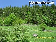 [P28]  -- <small>// FĂRĂ DESCRIERE</small> » foto by adryana
 - 
<span class="allrVoted glyphicon glyphicon-heart hidden" id="av332791"></span>
<a class="m-l-10 hidden" id="sv332791" onclick="voting_Foto_DelVot(,332791,5116)" role="button">șterge vot <span class="glyphicon glyphicon-remove"></span></a>
<a id="v9332791" class=" c-red"  onclick="voting_Foto_SetVot(332791)" role="button"><span class="glyphicon glyphicon-heart-empty"></span> <b>LIKE</b> = Votează poza</a> <img class="hidden"  id="f332791W9" src="/imagini/loader.gif" border="0" /><span class="AjErrMes hidden" id="e332791ErM"></span>