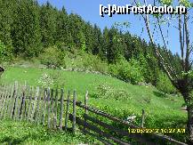 [P65]  -- <small>// FĂRĂ DESCRIERE</small> » foto by adryana
 - 
<span class="allrVoted glyphicon glyphicon-heart hidden" id="av332862"></span>
<a class="m-l-10 hidden" id="sv332862" onclick="voting_Foto_DelVot(,332862,5116)" role="button">șterge vot <span class="glyphicon glyphicon-remove"></span></a>
<a id="v9332862" class=" c-red"  onclick="voting_Foto_SetVot(332862)" role="button"><span class="glyphicon glyphicon-heart-empty"></span> <b>LIKE</b> = Votează poza</a> <img class="hidden"  id="f332862W9" src="/imagini/loader.gif" border="0" /><span class="AjErrMes hidden" id="e332862ErM"></span>