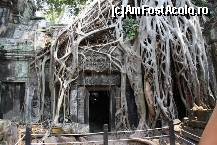 [P02] Templul Ta Prohm in mijlocul junglei » foto by Pami*
 - 
<span class="allrVoted glyphicon glyphicon-heart hidden" id="av299476"></span>
<a class="m-l-10 hidden" id="sv299476" onclick="voting_Foto_DelVot(,299476,5123)" role="button">șterge vot <span class="glyphicon glyphicon-remove"></span></a>
<a id="v9299476" class=" c-red"  onclick="voting_Foto_SetVot(299476)" role="button"><span class="glyphicon glyphicon-heart-empty"></span> <b>LIKE</b> = Votează poza</a> <img class="hidden"  id="f299476W9" src="/imagini/loader.gif" border="0" /><span class="AjErrMes hidden" id="e299476ErM"></span>