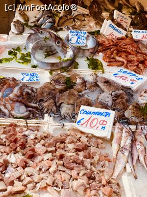 [P21] La piața de peste » foto by indiralisa_26
 - 
<span class="allrVoted glyphicon glyphicon-heart hidden" id="av1102396"></span>
<a class="m-l-10 hidden" id="sv1102396" onclick="voting_Foto_DelVot(,1102396,5128)" role="button">șterge vot <span class="glyphicon glyphicon-remove"></span></a>
<a id="v91102396" class=" c-red"  onclick="voting_Foto_SetVot(1102396)" role="button"><span class="glyphicon glyphicon-heart-empty"></span> <b>LIKE</b> = Votează poza</a> <img class="hidden"  id="f1102396W9" src="/imagini/loader.gif" border="0" /><span class="AjErrMes hidden" id="e1102396ErM"></span>