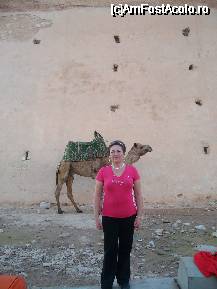 [P01] PRIMA OPRIRE IN AGADIR » foto by stefania
 - 
<span class="allrVoted glyphicon glyphicon-heart hidden" id="av55395"></span>
<a class="m-l-10 hidden" id="sv55395" onclick="voting_Foto_DelVot(,55395,5135)" role="button">șterge vot <span class="glyphicon glyphicon-remove"></span></a>
<a id="v955395" class=" c-red"  onclick="voting_Foto_SetVot(55395)" role="button"><span class="glyphicon glyphicon-heart-empty"></span> <b>LIKE</b> = Votează poza</a> <img class="hidden"  id="f55395W9" src="/imagini/loader.gif" border="0" /><span class="AjErrMes hidden" id="e55395ErM"></span>