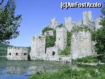 [P01] Serbia - Cetatea Golubac. » foto by iulianic
 - 
<span class="allrVoted glyphicon glyphicon-heart hidden" id="av258176"></span>
<a class="m-l-10 hidden" id="sv258176" onclick="voting_Foto_DelVot(,258176,5155)" role="button">șterge vot <span class="glyphicon glyphicon-remove"></span></a>
<a id="v9258176" class=" c-red"  onclick="voting_Foto_SetVot(258176)" role="button"><span class="glyphicon glyphicon-heart-empty"></span> <b>LIKE</b> = Votează poza</a> <img class="hidden"  id="f258176W9" src="/imagini/loader.gif" border="0" /><span class="AjErrMes hidden" id="e258176ErM"></span>