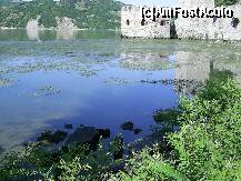 [P02] Serbia - Cetatea Golubac. » foto by iulianic
 - 
<span class="allrVoted glyphicon glyphicon-heart hidden" id="av258177"></span>
<a class="m-l-10 hidden" id="sv258177" onclick="voting_Foto_DelVot(,258177,5155)" role="button">șterge vot <span class="glyphicon glyphicon-remove"></span></a>
<a id="v9258177" class=" c-red"  onclick="voting_Foto_SetVot(258177)" role="button"><span class="glyphicon glyphicon-heart-empty"></span> <b>LIKE</b> = Votează poza</a> <img class="hidden"  id="f258177W9" src="/imagini/loader.gif" border="0" /><span class="AjErrMes hidden" id="e258177ErM"></span>