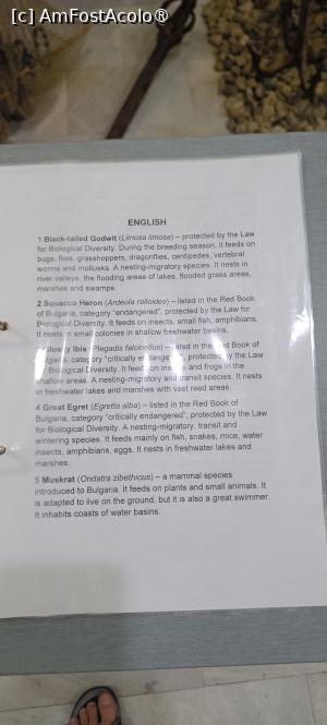 [P37] Explicații în limba engleză - model. » foto by tata123 🔱
 - 
<span class="allrVoted glyphicon glyphicon-heart hidden" id="av1493997"></span>
<a class="m-l-10 hidden" id="sv1493997" onclick="voting_Foto_DelVot(,1493997,5157)" role="button">șterge vot <span class="glyphicon glyphicon-remove"></span></a>
<a id="v91493997" class=" c-red"  onclick="voting_Foto_SetVot(1493997)" role="button"><span class="glyphicon glyphicon-heart-empty"></span> <b>LIKE</b> = Votează poza</a> <img class="hidden"  id="f1493997W9" src="/imagini/loader.gif" border="0" /><span class="AjErrMes hidden" id="e1493997ErM"></span>