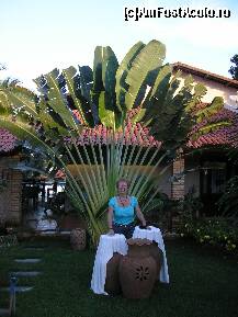 [P15] in curte la prietenul spaniol al fratelui meu » foto by grecudoina
 - 
<span class="allrVoted glyphicon glyphicon-heart hidden" id="av292151"></span>
<a class="m-l-10 hidden" id="sv292151" onclick="voting_Foto_DelVot(,292151,5180)" role="button">șterge vot <span class="glyphicon glyphicon-remove"></span></a>
<a id="v9292151" class=" c-red"  onclick="voting_Foto_SetVot(292151)" role="button"><span class="glyphicon glyphicon-heart-empty"></span> <b>LIKE</b> = Votează poza</a> <img class="hidden"  id="f292151W9" src="/imagini/loader.gif" border="0" /><span class="AjErrMes hidden" id="e292151ErM"></span>