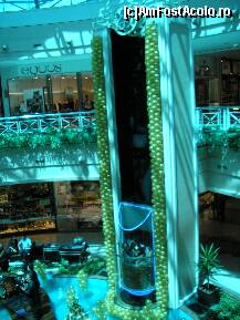 [P02] liftul de sticla dintr-un mall din Fortaleza » foto by grecudoina
 - 
<span class="allrVoted glyphicon glyphicon-heart hidden" id="av292138"></span>
<a class="m-l-10 hidden" id="sv292138" onclick="voting_Foto_DelVot(,292138,5180)" role="button">șterge vot <span class="glyphicon glyphicon-remove"></span></a>
<a id="v9292138" class=" c-red"  onclick="voting_Foto_SetVot(292138)" role="button"><span class="glyphicon glyphicon-heart-empty"></span> <b>LIKE</b> = Votează poza</a> <img class="hidden"  id="f292138W9" src="/imagini/loader.gif" border="0" /><span class="AjErrMes hidden" id="e292138ErM"></span>