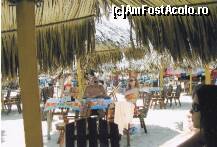 [P12] cumnata si fratele la plaja de la Prainha,toata lumea aici statea pe scaune la masa sau pe sezlonguri la soare aproape de umbrelele din frunze de palmier,de aici faceai o cursa in mare viteza pana la apa pt. ca nisipul era fierbinte » foto by grecudoina
 - 
<span class="allrVoted glyphicon glyphicon-heart hidden" id="av296193"></span>
<a class="m-l-10 hidden" id="sv296193" onclick="voting_Foto_DelVot(,296193,5180)" role="button">șterge vot <span class="glyphicon glyphicon-remove"></span></a>
<a id="v9296193" class=" c-red"  onclick="voting_Foto_SetVot(296193)" role="button"><span class="glyphicon glyphicon-heart-empty"></span> <b>LIKE</b> = Votează poza</a> <img class="hidden"  id="f296193W9" src="/imagini/loader.gif" border="0" /><span class="AjErrMes hidden" id="e296193ErM"></span>