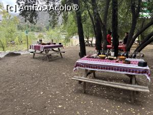 [P87] La picnic » foto by AZE
 - 
<span class="allrVoted glyphicon glyphicon-heart hidden" id="av1530299"></span>
<a class="m-l-10 hidden" id="sv1530299" onclick="voting_Foto_DelVot(,1530299,5182)" role="button">șterge vot <span class="glyphicon glyphicon-remove"></span></a>
<a id="v91530299" class=" c-red"  onclick="voting_Foto_SetVot(1530299)" role="button"><span class="glyphicon glyphicon-heart-empty"></span> <b>LIKE</b> = Votează poza</a> <img class="hidden"  id="f1530299W9" src="/imagini/loader.gif" border="0" /><span class="AjErrMes hidden" id="e1530299ErM"></span>