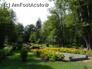 [P14] Cascadele și vegetația din Parcul balnear - Govora.  » foto by tata123 🔱
 - 
<span class="allrVoted glyphicon glyphicon-heart hidden" id="av909708"></span>
<a class="m-l-10 hidden" id="sv909708" onclick="voting_Foto_DelVot(,909708,5203)" role="button">șterge vot <span class="glyphicon glyphicon-remove"></span></a>
<a id="v9909708" class=" c-red"  onclick="voting_Foto_SetVot(909708)" role="button"><span class="glyphicon glyphicon-heart-empty"></span> <b>LIKE</b> = Votează poza</a> <img class="hidden"  id="f909708W9" src="/imagini/loader.gif" border="0" /><span class="AjErrMes hidden" id="e909708ErM"></span>