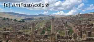 [P39] situl roman Djemila » foto by robert
 - 
<span class="allrVoted glyphicon glyphicon-heart hidden" id="av1392420"></span>
<a class="m-l-10 hidden" id="sv1392420" onclick="voting_Foto_DelVot(,1392420,5207)" role="button">șterge vot <span class="glyphicon glyphicon-remove"></span></a>
<a id="v91392420" class=" c-red"  onclick="voting_Foto_SetVot(1392420)" role="button"><span class="glyphicon glyphicon-heart-empty"></span> <b>LIKE</b> = Votează poza</a> <img class="hidden"  id="f1392420W9" src="/imagini/loader.gif" border="0" /><span class="AjErrMes hidden" id="e1392420ErM"></span>