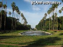 [P07] ALGERIA - GRADINA BOTANICA DIN ALGER » foto by TIKIM
 - 
<span class="allrVoted glyphicon glyphicon-heart hidden" id="av59617"></span>
<a class="m-l-10 hidden" id="sv59617" onclick="voting_Foto_DelVot(,59617,5207)" role="button">șterge vot <span class="glyphicon glyphicon-remove"></span></a>
<a id="v959617" class=" c-red"  onclick="voting_Foto_SetVot(59617)" role="button"><span class="glyphicon glyphicon-heart-empty"></span> <b>LIKE</b> = Votează poza</a> <img class="hidden"  id="f59617W9" src="/imagini/loader.gif" border="0" /><span class="AjErrMes hidden" id="e59617ErM"></span>