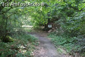 [P05] Dubova, Drumul spre  Peștera Ponicova, ziua » foto by mprofeanu
 - 
<span class="allrVoted glyphicon glyphicon-heart hidden" id="av1185475"></span>
<a class="m-l-10 hidden" id="sv1185475" onclick="voting_Foto_DelVot(,1185475,5212)" role="button">șterge vot <span class="glyphicon glyphicon-remove"></span></a>
<a id="v91185475" class=" c-red"  onclick="voting_Foto_SetVot(1185475)" role="button"><span class="glyphicon glyphicon-heart-empty"></span> <b>LIKE</b> = Votează poza</a> <img class="hidden"  id="f1185475W9" src="/imagini/loader.gif" border="0" /><span class="AjErrMes hidden" id="e1185475ErM"></span>