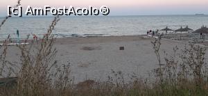 [P24] Plaja pentru cearșafuri, o porțiune lângă vilele de protocol » foto by Rofri
 - 
<span class="allrVoted glyphicon glyphicon-heart hidden" id="av1249914"></span>
<a class="m-l-10 hidden" id="sv1249914" onclick="voting_Foto_DelVot(,1249914,5218)" role="button">șterge vot <span class="glyphicon glyphicon-remove"></span></a>
<a id="v91249914" class=" c-red"  onclick="voting_Foto_SetVot(1249914)" role="button"><span class="glyphicon glyphicon-heart-empty"></span> <b>LIKE</b> = Votează poza</a> <img class="hidden"  id="f1249914W9" src="/imagini/loader.gif" border="0" /><span class="AjErrMes hidden" id="e1249914ErM"></span>