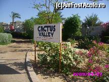 [P07] Era o gradina 'tematica' :) » foto by Mihaela Dinu
 - 
<span class="allrVoted glyphicon glyphicon-heart hidden" id="av59153"></span>
<a class="m-l-10 hidden" id="sv59153" onclick="voting_Foto_DelVot(,59153,5248)" role="button">șterge vot <span class="glyphicon glyphicon-remove"></span></a>
<a id="v959153" class=" c-red"  onclick="voting_Foto_SetVot(59153)" role="button"><span class="glyphicon glyphicon-heart-empty"></span> <b>LIKE</b> = Votează poza</a> <img class="hidden"  id="f59153W9" src="/imagini/loader.gif" border="0" /><span class="AjErrMes hidden" id="e59153ErM"></span>