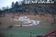 [P22] salamandra -simbolul parcului national Aggtelek » foto by mariana
 - 
<span class="allrVoted glyphicon glyphicon-heart hidden" id="av61471"></span>
<a class="m-l-10 hidden" id="sv61471" onclick="voting_Foto_DelVot(,61471,5342)" role="button">șterge vot <span class="glyphicon glyphicon-remove"></span></a>
<a id="v961471" class=" c-red"  onclick="voting_Foto_SetVot(61471)" role="button"><span class="glyphicon glyphicon-heart-empty"></span> <b>LIKE</b> = Votează poza</a> <img class="hidden"  id="f61471W9" src="/imagini/loader.gif" border="0" /><span class="AjErrMes hidden" id="e61471ErM"></span>