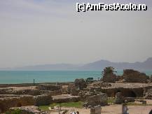 [P04]  -- <small>// FĂRĂ DESCRIERE</small> » foto by bambita
 - 
<span class="allrVoted glyphicon glyphicon-heart hidden" id="av61483"></span>
<a class="m-l-10 hidden" id="sv61483" onclick="voting_Foto_DelVot(,61483,5343)" role="button">șterge vot <span class="glyphicon glyphicon-remove"></span></a>
<a id="v961483" class=" c-red"  onclick="voting_Foto_SetVot(61483)" role="button"><span class="glyphicon glyphicon-heart-empty"></span> <b>LIKE</b> = Votează poza</a> <img class="hidden"  id="f61483W9" src="/imagini/loader.gif" border="0" /><span class="AjErrMes hidden" id="e61483ErM"></span>