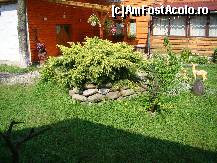 [P02]  -- <small>// FĂRĂ DESCRIERE</small> » foto by IonutVLad*
 - 
<span class="allrVoted glyphicon glyphicon-heart hidden" id="av147608"></span>
<a class="m-l-10 hidden" id="sv147608" onclick="voting_Foto_DelVot(,147608,5349)" role="button">șterge vot <span class="glyphicon glyphicon-remove"></span></a>
<a id="v9147608" class=" c-red"  onclick="voting_Foto_SetVot(147608)" role="button"><span class="glyphicon glyphicon-heart-empty"></span> <b>LIKE</b> = Votează poza</a> <img class="hidden"  id="f147608W9" src="/imagini/loader.gif" border="0" /><span class="AjErrMes hidden" id="e147608ErM"></span>