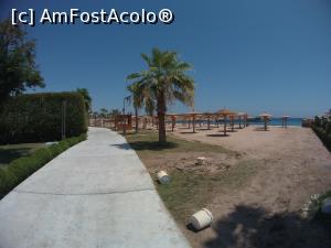 [P02] plaja de la Rixos Makadi Bay, dreapta » foto by elenaadina
 - 
<span class="allrVoted glyphicon glyphicon-heart hidden" id="av1249184"></span>
<a class="m-l-10 hidden" id="sv1249184" onclick="voting_Foto_DelVot(,1249184,5353)" role="button">șterge vot <span class="glyphicon glyphicon-remove"></span></a>
<a id="v91249184" class=" c-red"  onclick="voting_Foto_SetVot(1249184)" role="button"><span class="glyphicon glyphicon-heart-empty"></span> <b>LIKE</b> = Votează poza</a> <img class="hidden"  id="f1249184W9" src="/imagini/loader.gif" border="0" /><span class="AjErrMes hidden" id="e1249184ErM"></span>