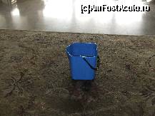 [P42] Piesa de rezistenta  hotelului-pentru ca a plouat torential in sambata aceea,bulgarii au facut fata cu 'brio' intemperiilor,galetile din imagine fiind prezente in 3-4  locuri,pe holul din fata receptiei!!!!!!! » foto by trandafir 1970*
 - 
<span class="allrVoted glyphicon glyphicon-heart hidden" id="av66079"></span>
<a class="m-l-10 hidden" id="sv66079" onclick="voting_Foto_DelVot(,66079,5365)" role="button">șterge vot <span class="glyphicon glyphicon-remove"></span></a>
<a id="v966079" class=" c-red"  onclick="voting_Foto_SetVot(66079)" role="button"><span class="glyphicon glyphicon-heart-empty"></span> <b>LIKE</b> = Votează poza</a> <img class="hidden"  id="f66079W9" src="/imagini/loader.gif" border="0" /><span class="AjErrMes hidden" id="e66079ErM"></span>