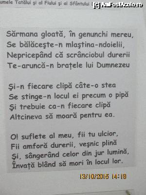 [P24] fara cuvinte!  » foto by adri-nico
 - 
<span class="allrVoted glyphicon glyphicon-heart hidden" id="av684278"></span>
<a class="m-l-10 hidden" id="sv684278" onclick="voting_Foto_DelVot(,684278,5366)" role="button">șterge vot <span class="glyphicon glyphicon-remove"></span></a>
<a id="v9684278" class=" c-red"  onclick="voting_Foto_SetVot(684278)" role="button"><span class="glyphicon glyphicon-heart-empty"></span> <b>LIKE</b> = Votează poza</a> <img class="hidden"  id="f684278W9" src="/imagini/loader.gif" border="0" /><span class="AjErrMes hidden" id="e684278ErM"></span>