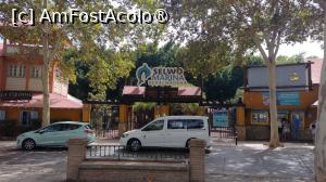 [P45] Selwo Marina Benalmadena. Parc acvatic situat în apropiere de Parque de la Paloma. » foto by ovidiuyepi
 - 
<span class="allrVoted glyphicon glyphicon-heart hidden" id="av1536341"></span>
<a class="m-l-10 hidden" id="sv1536341" onclick="voting_Foto_DelVot(,1536341,5385)" role="button">șterge vot <span class="glyphicon glyphicon-remove"></span></a>
<a id="v91536341" class=" c-red"  onclick="voting_Foto_SetVot(1536341)" role="button"><span class="glyphicon glyphicon-heart-empty"></span> <b>LIKE</b> = Votează poza</a> <img class="hidden"  id="f1536341W9" src="/imagini/loader.gif" border="0" /><span class="AjErrMes hidden" id="e1536341ErM"></span>