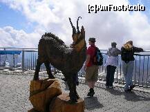 [P30] Simbolul muntelui. » foto by doina_c24
 - 
<span class="allrVoted glyphicon glyphicon-heart hidden" id="av283646"></span>
<a class="m-l-10 hidden" id="sv283646" onclick="voting_Foto_DelVot(,283646,5408)" role="button">șterge vot <span class="glyphicon glyphicon-remove"></span></a>
<a id="v9283646" class=" c-red"  onclick="voting_Foto_SetVot(283646)" role="button"><span class="glyphicon glyphicon-heart-empty"></span> <b>LIKE</b> = Votează poza</a> <img class="hidden"  id="f283646W9" src="/imagini/loader.gif" border="0" /><span class="AjErrMes hidden" id="e283646ErM"></span>